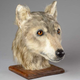 Ilustración para el artículo titulado Reconstruyen la imagen de un perro de hace más de 4.000 años. Sigue siendo un buen chico